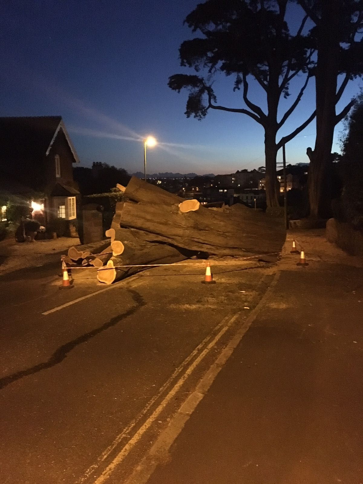 A large log is laying on the side of the road