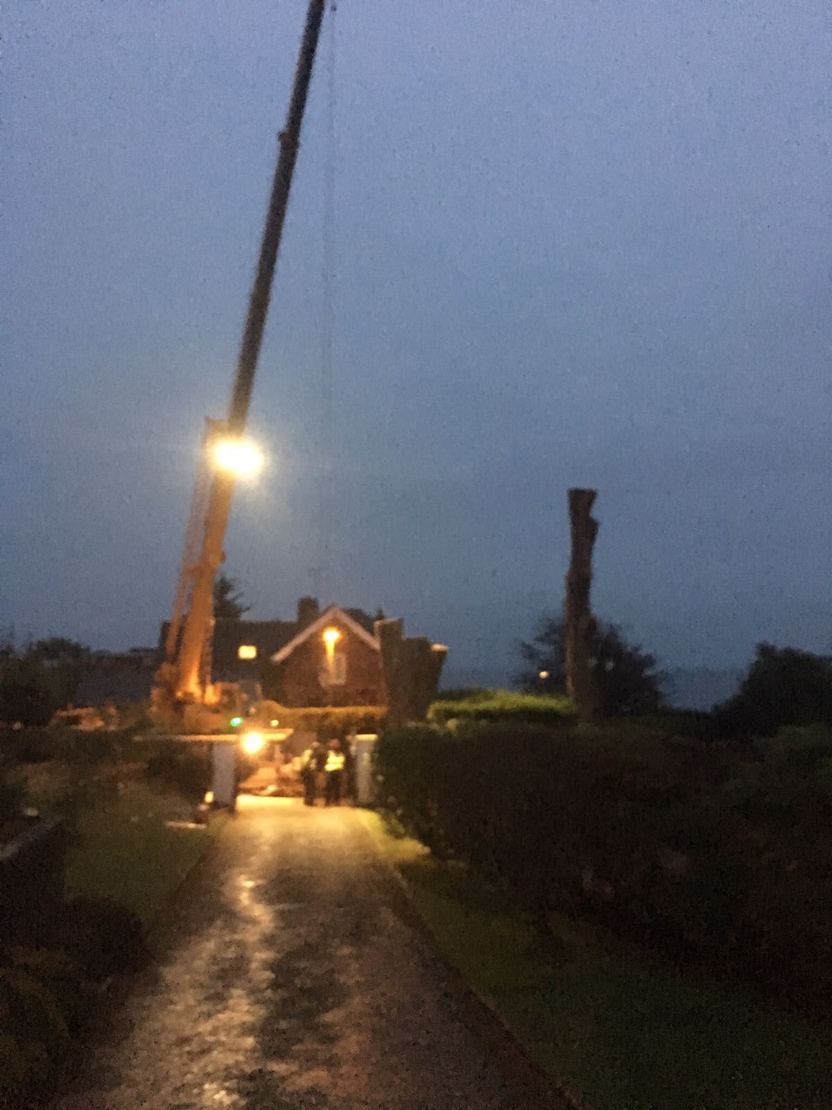 A crane is lifting a tree in front of a house at night.