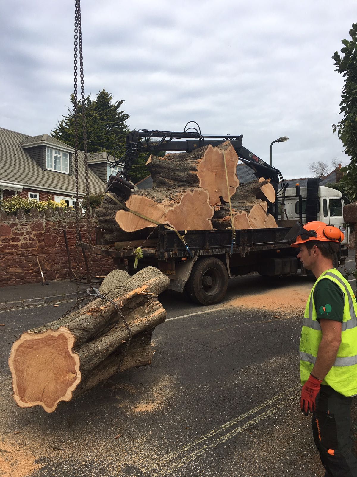 A man is standing in front of a truck carrying a large log.