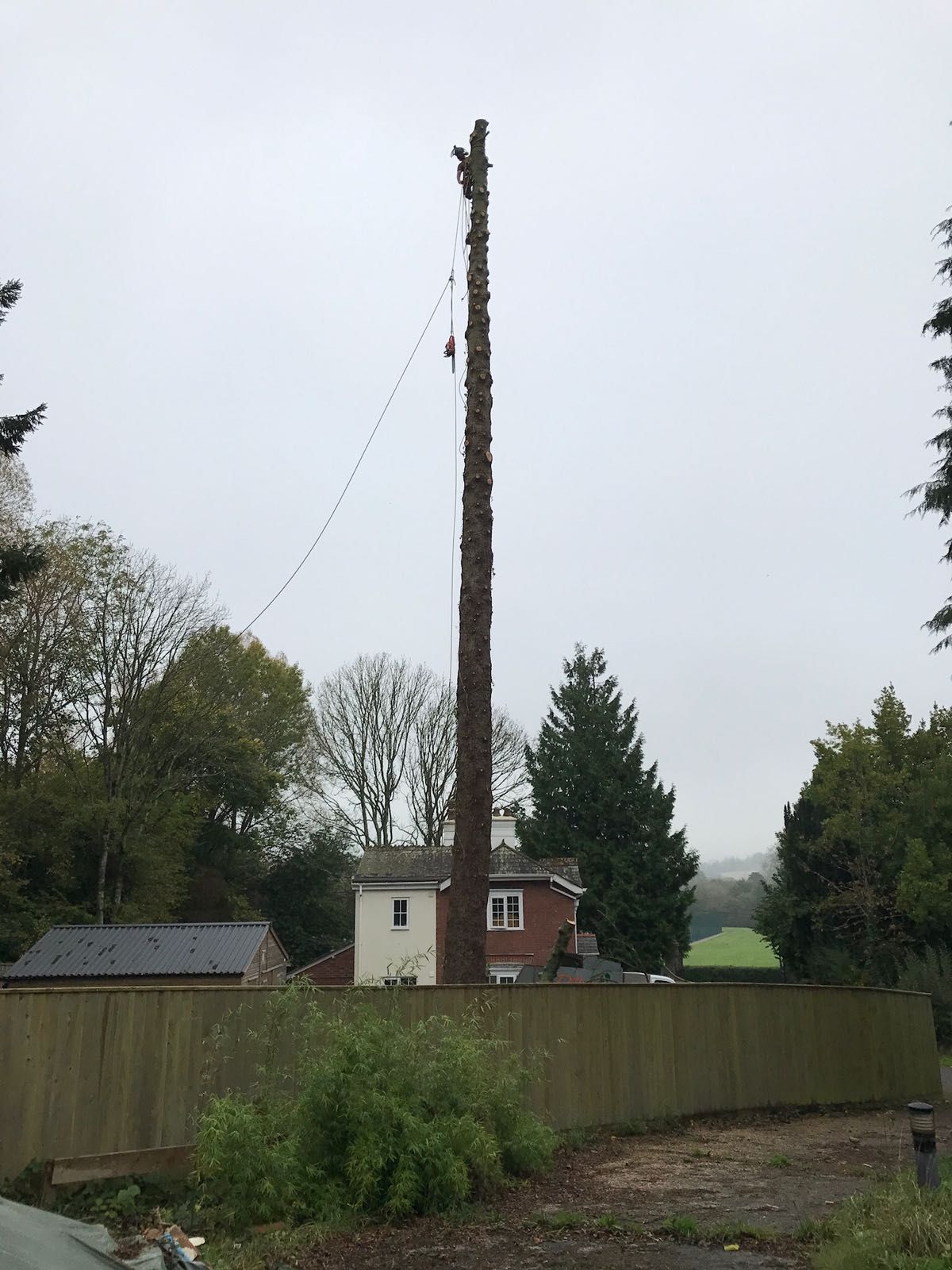 A large tree stump is sitting in the middle of a fenced in area.