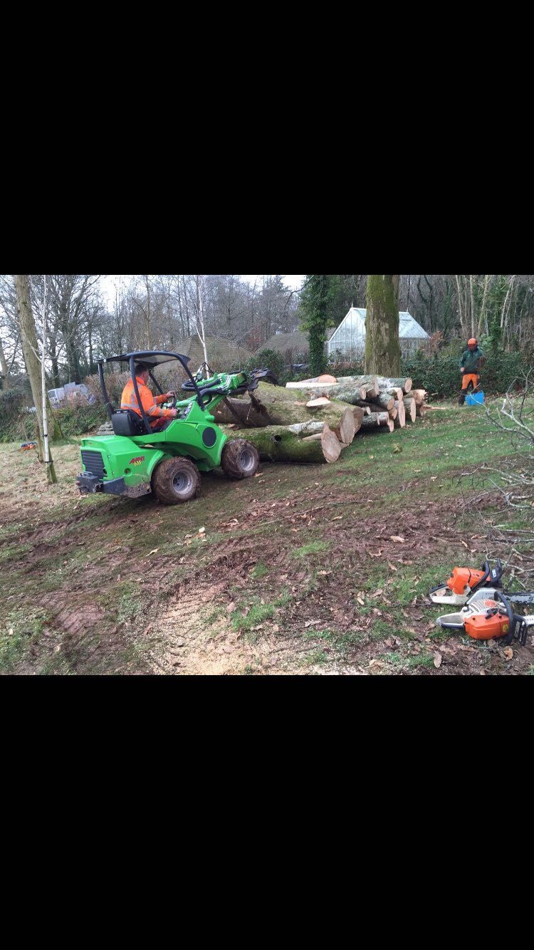 A man is driving a tractor through a field with logs and chainsaws.
