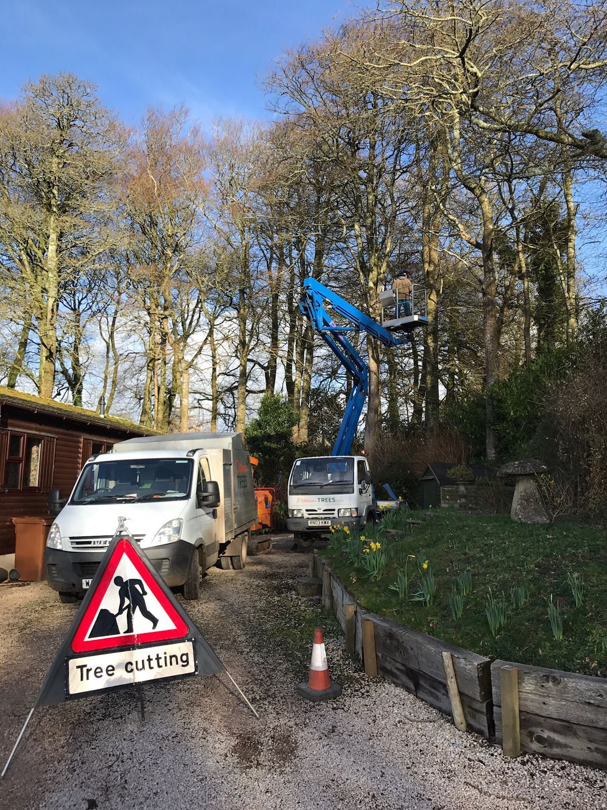 A white van is parked in a driveway next to a tree cutting sign.