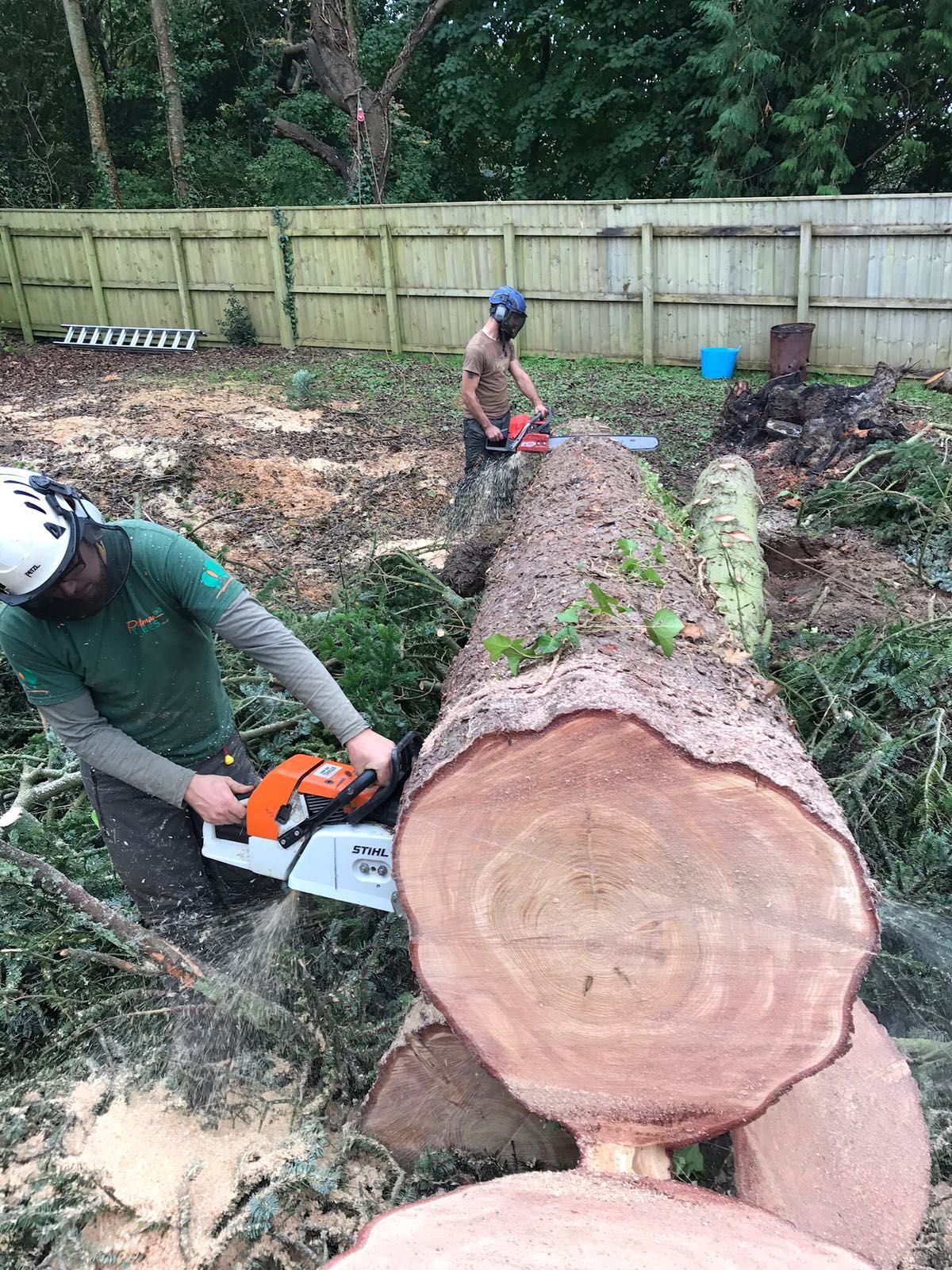 Two men are cutting a large log with a chainsaw.