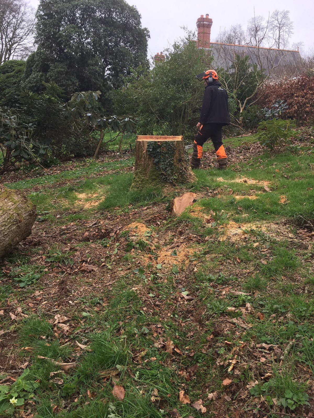 A man is standing next to a tree stump in a field.