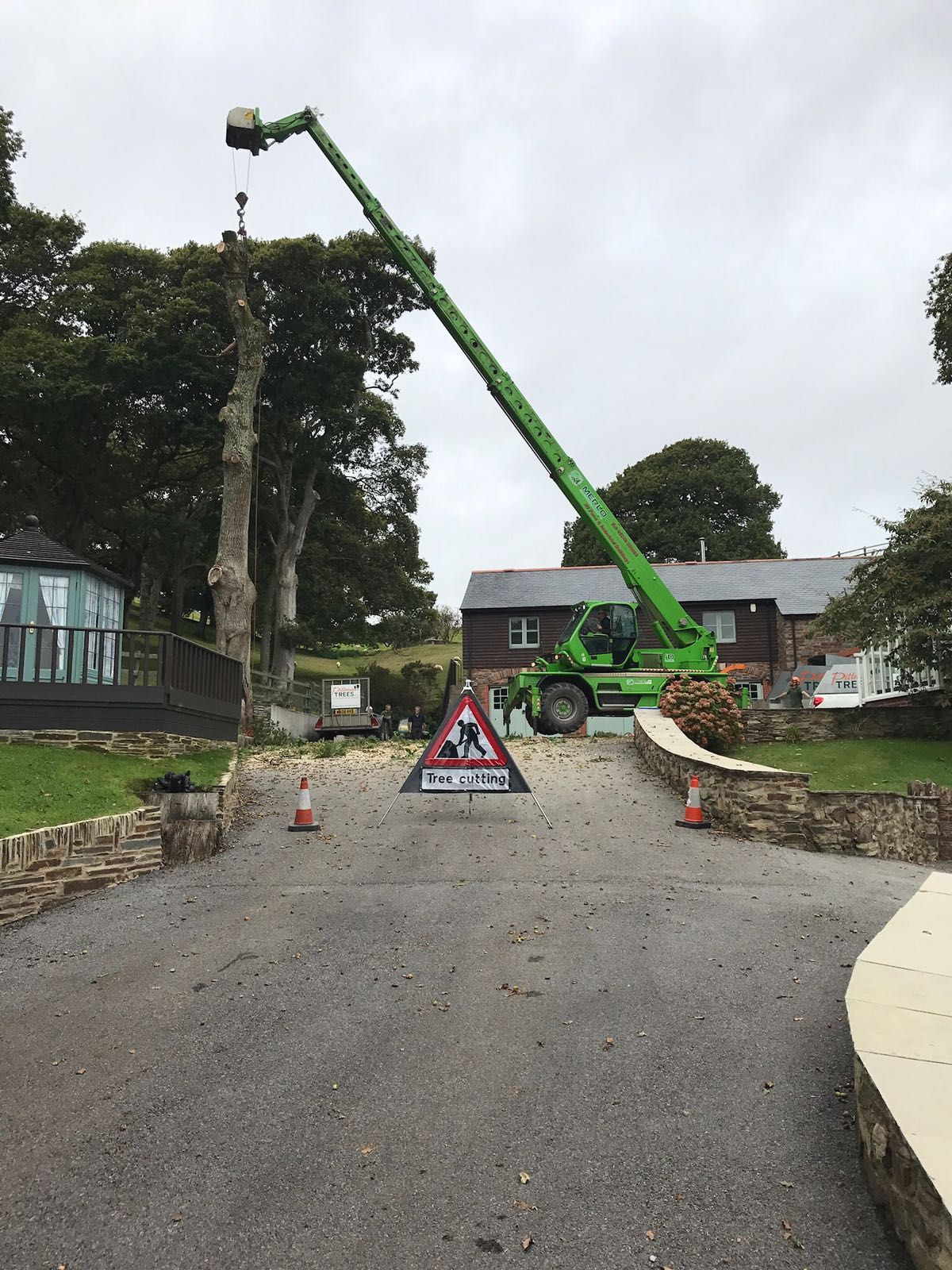 A green crane is lifting a tree in a driveway.