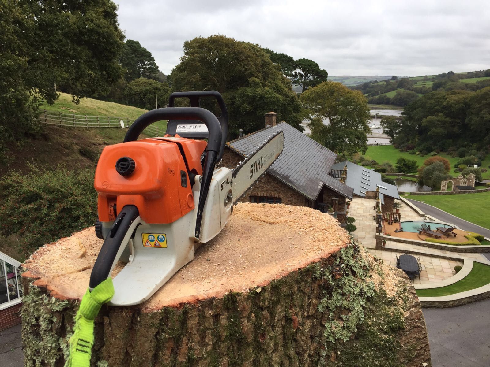 A chainsaw is sitting on top of a tree stump.