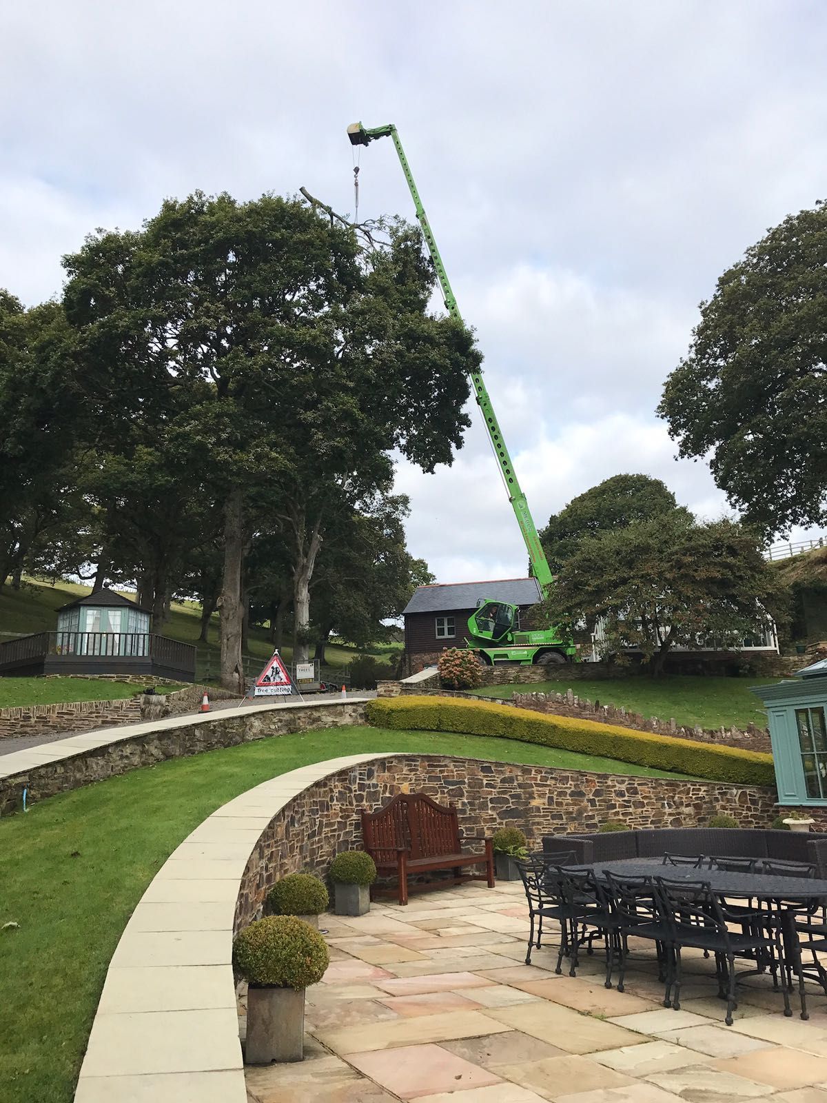 A green crane is lifting a tree in a garden.