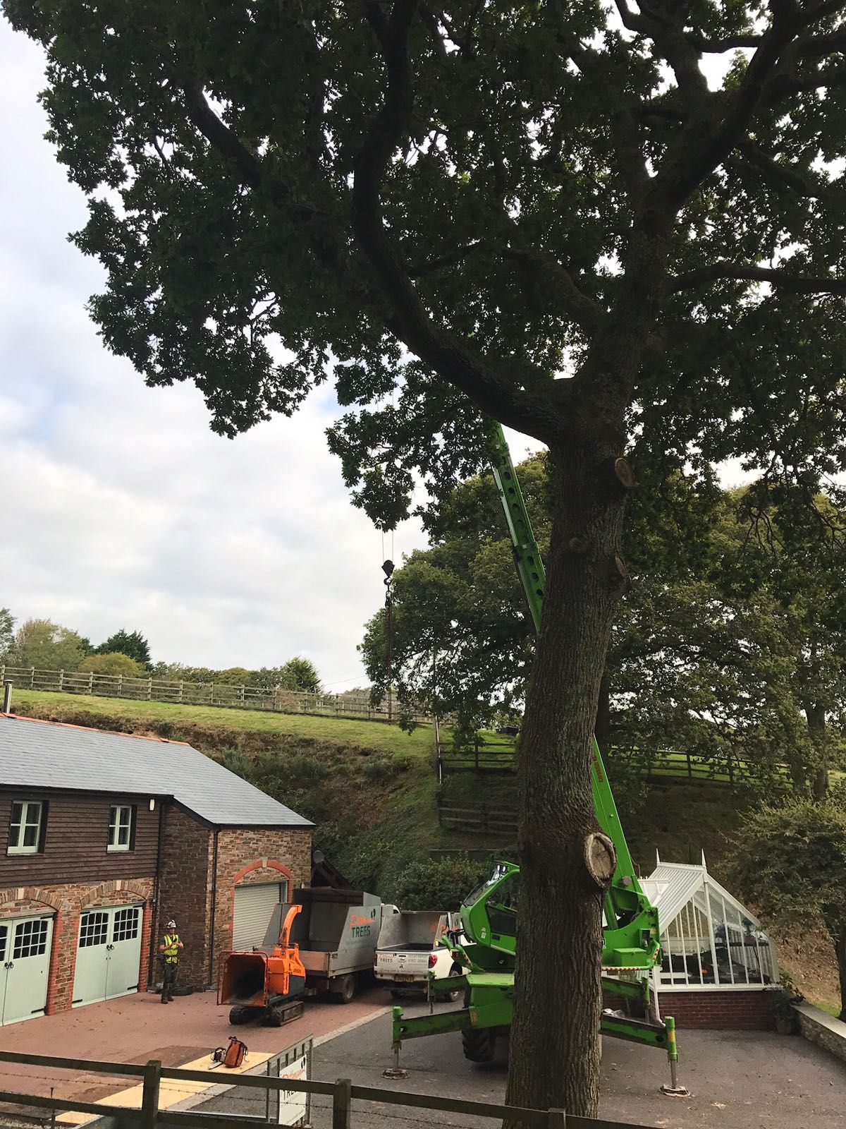 A green crane is cutting a tree in front of a house.