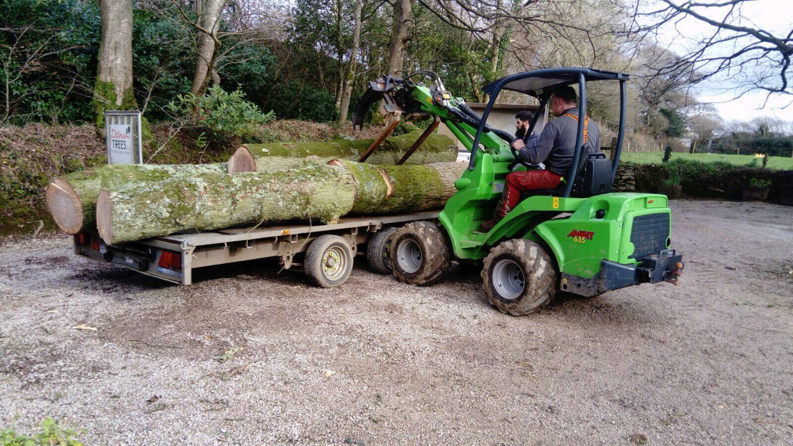 A man is driving a green forklift carrying logs on a trailer.