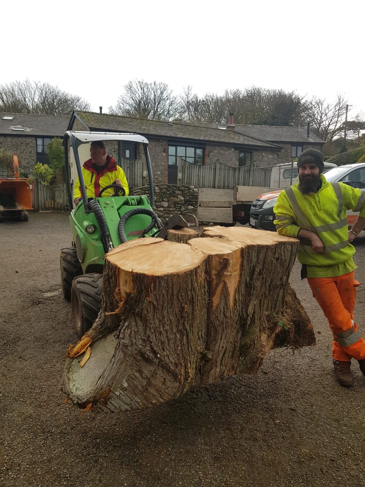 A man is standing next to a large tree stump with a chainsaw.