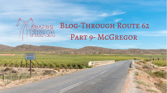The Road from Robertson to McGregor, Route 62, Longest Wine Route in the World, South Africa