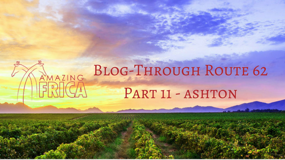 Ashton Winery, Ashton, Route 62, Longest wine route in the world 