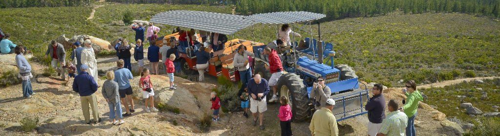 Montagu Tractor Trip on Montagu Farm, Route 62, South Africa
