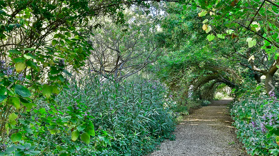 Secret Gardens of Temeno's Retreat, McGregor, Route 62, South Africa