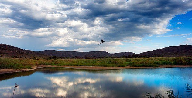 Vrolijkheid Nature Reserve, McGregor, Route 62, South Africa