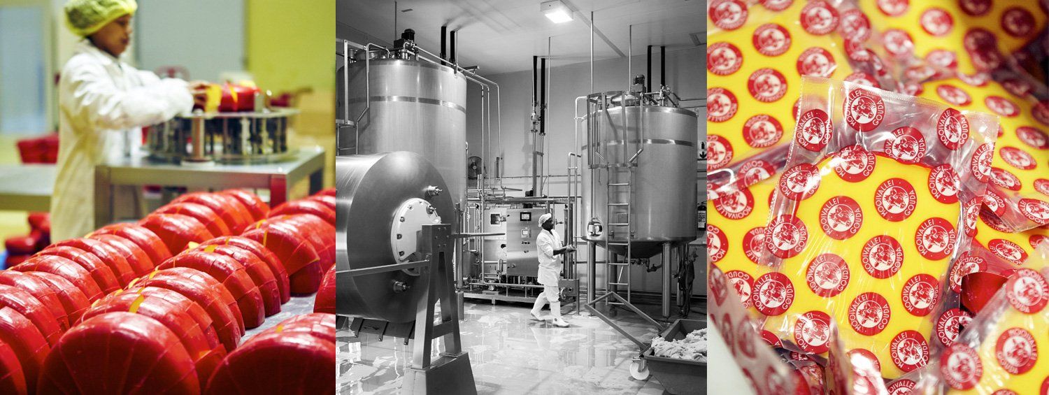 Mooivalllei Suiwel, Cheese factory, Bonnievale, Route 62, South Africa 