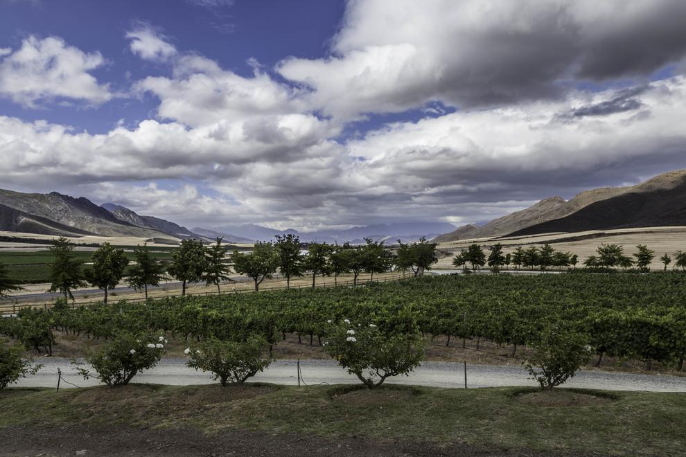Worcester Wine Route, Route 62, South Africa
