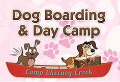 Dog Boarding & Day Camp
