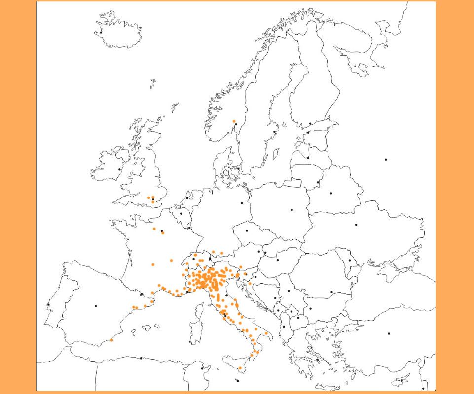 consegna in tutta italia ed europa