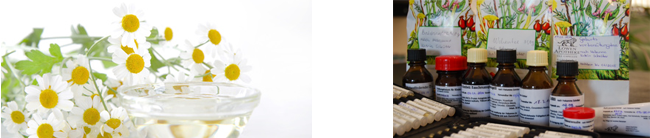 Es sind pflanzliche Heilmittel als Stilelement zum Thema abgebildet.