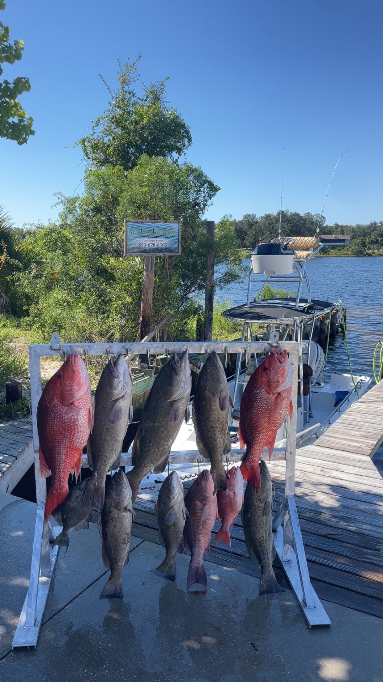 Fish hanging on a rack near a body of water, under a blue sky.