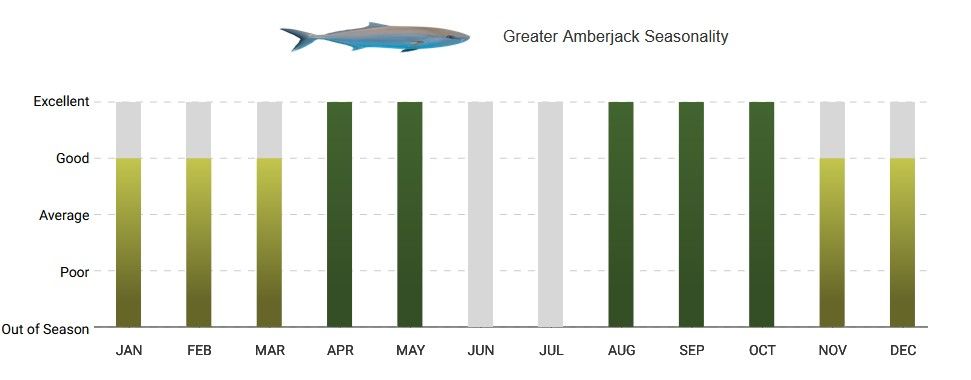 A graph showing the amount of fish in each month.