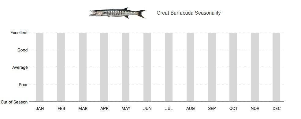 A black and white graph with a fish on it.