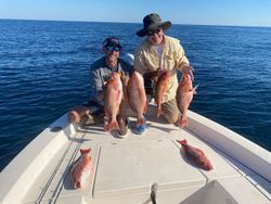 Two men are sitting on the back of a boat holding fish.