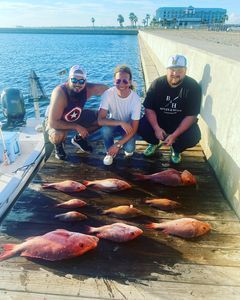 Three men are posing for a picture with a bunch of fish on a dock.