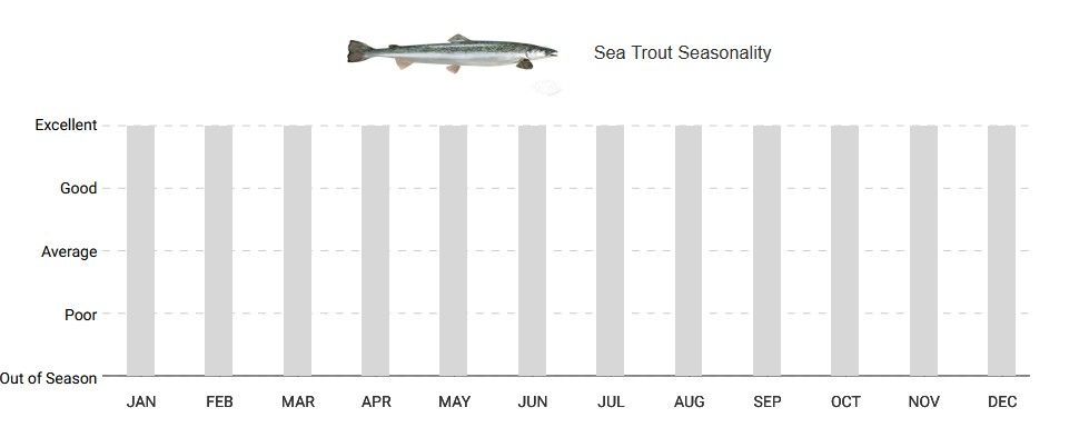 A graph showing the amount of fish being caught in each month
