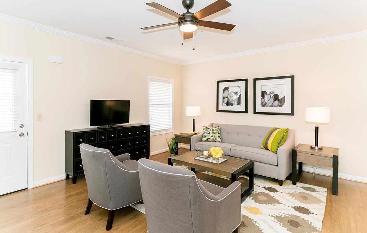 Interior photo of a modern bright living room