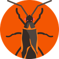 Un insecto negro y naranja con ojos rojos está en un círculo naranja.