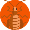 Una ilustración de una cucaracha en un círculo naranja