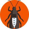 Un icono de una cucaracha en un círculo naranja.