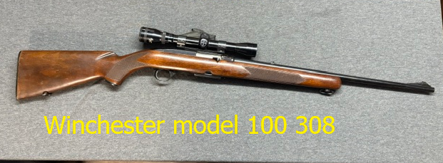 Winchester 100 308