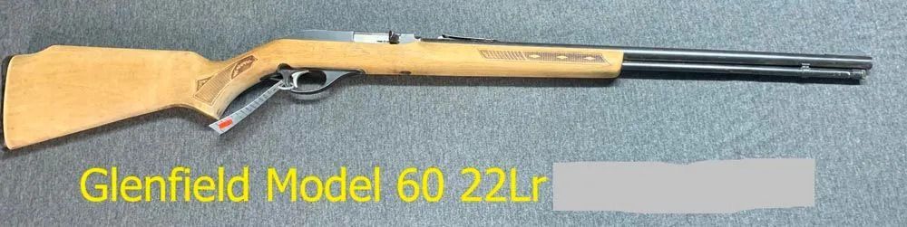 Model 60 22LR