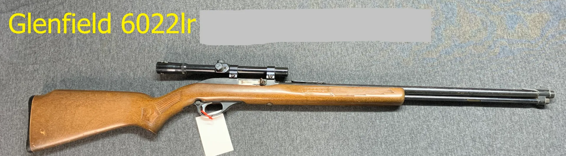 22LR
