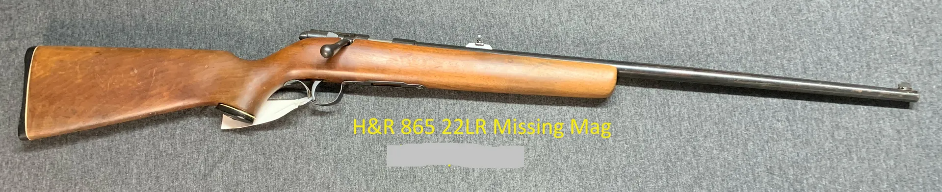  H&R 22LR Missing Mag