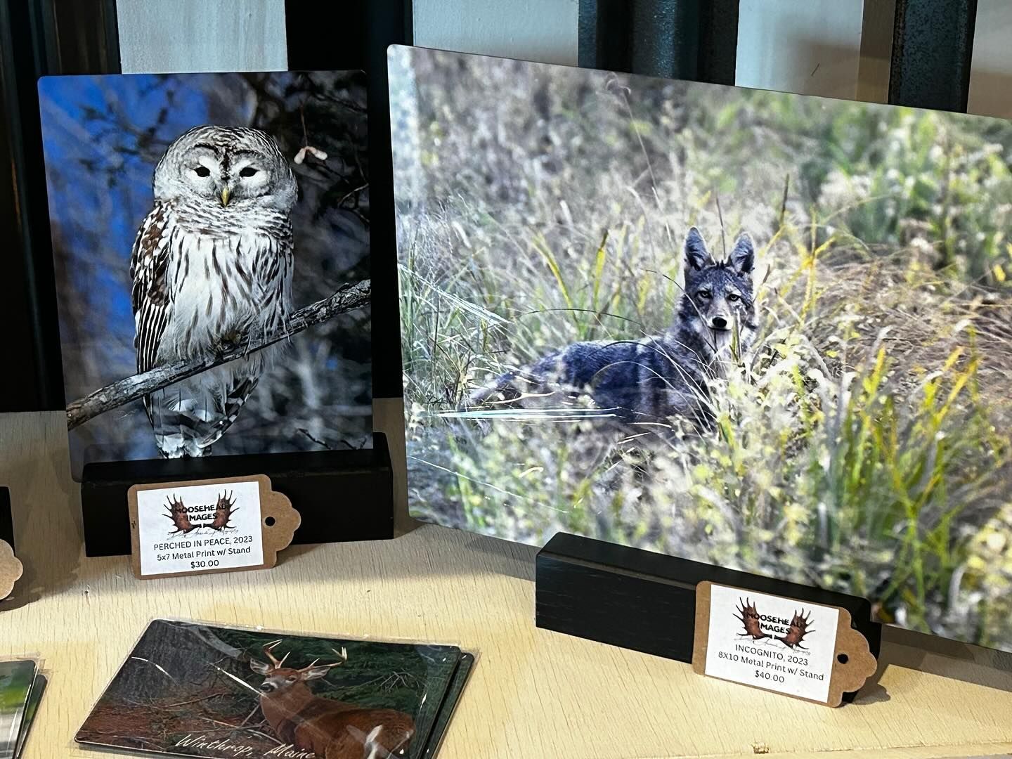A painting of an owl and a painting of a coyote are on display on a table.