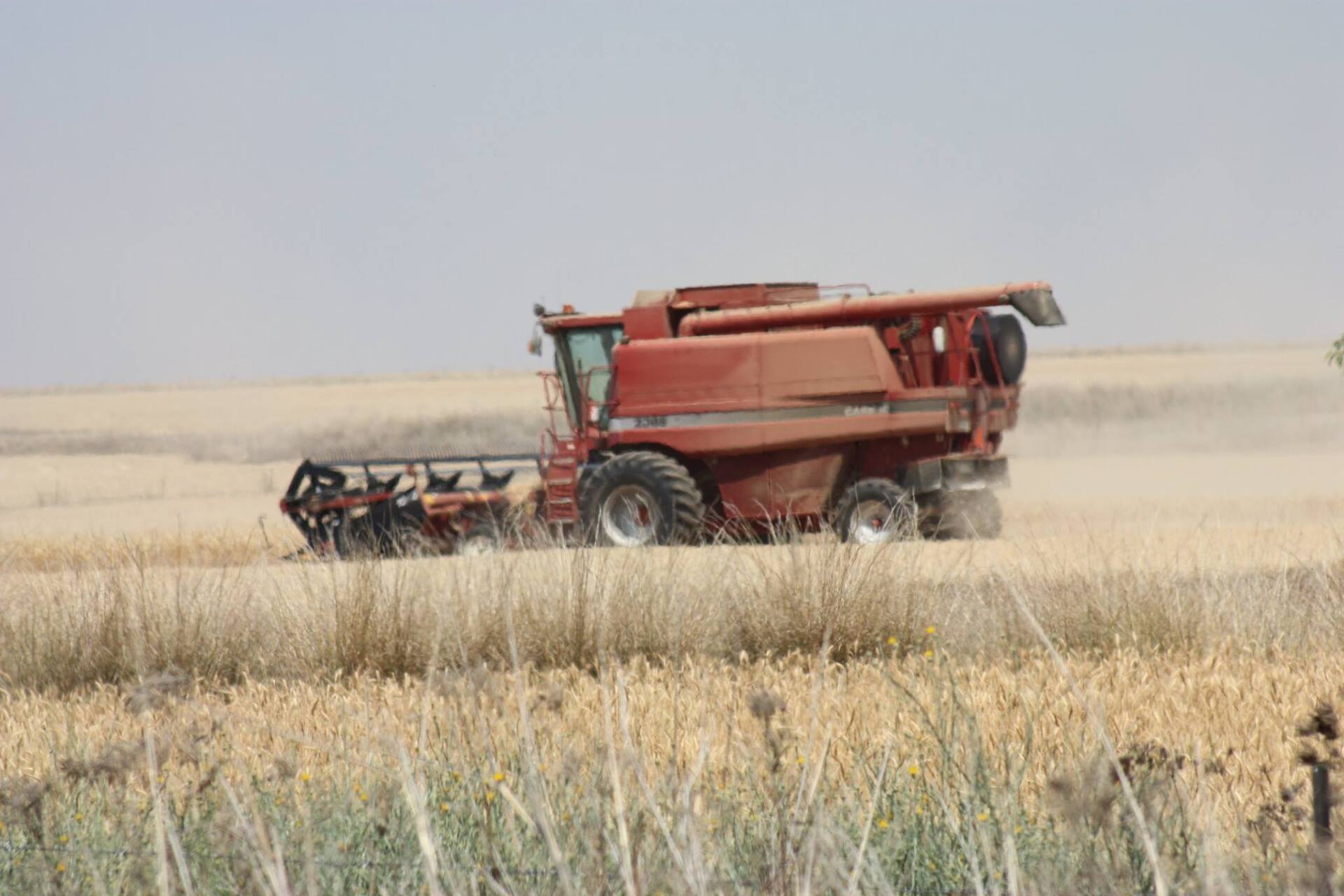 Farming Crops — Agricultural Supplies in Tamworth, NSW