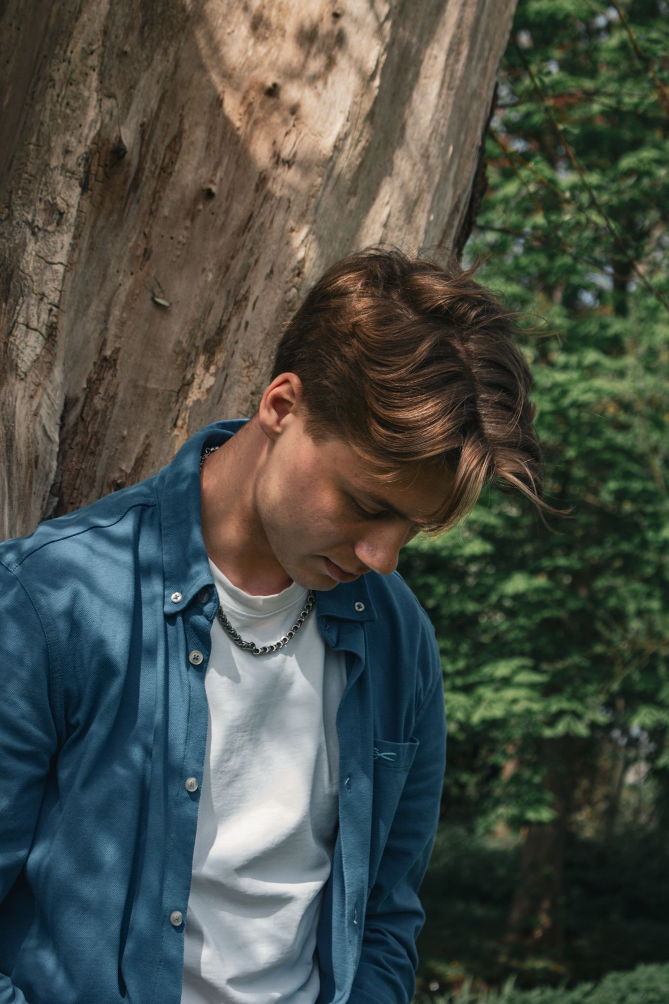 Man in a blue shirt looking down beside a tree in a wooded area