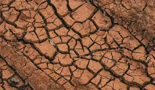 Cracked dry soil surface representing ground movement and expansion