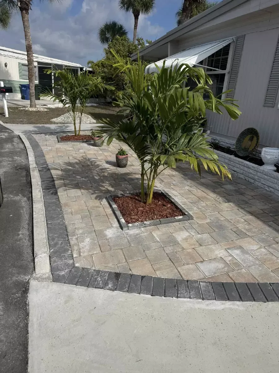 Concrete paver display area with multiple color patterns and palm trees