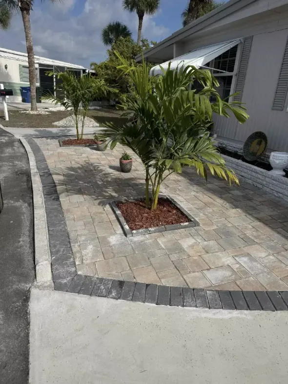 Light color concrete paver patio with curved dark border and palm trees in residential front yard