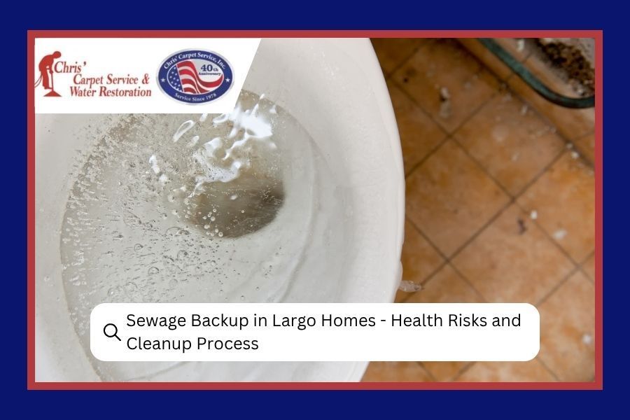 Overflowing sewage in a white sink with a news headline about backup in Largo Homes.