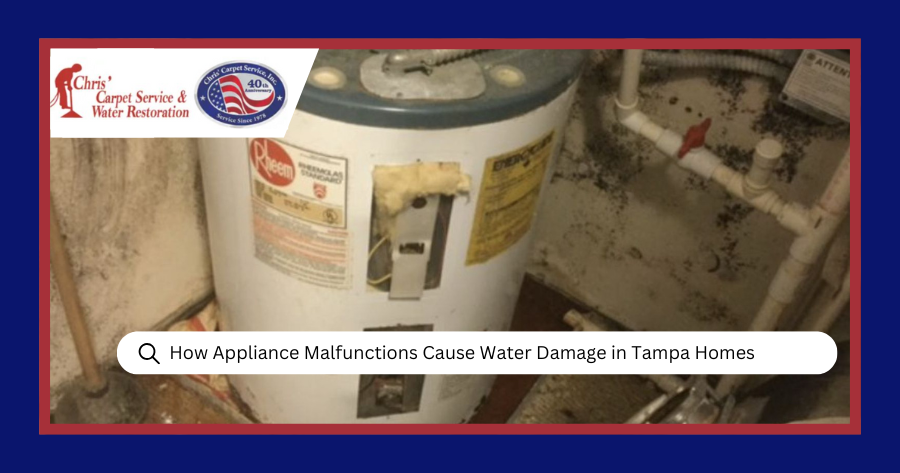 How Appliance Malfunctions Cause Water Damage in Tampa Homes
