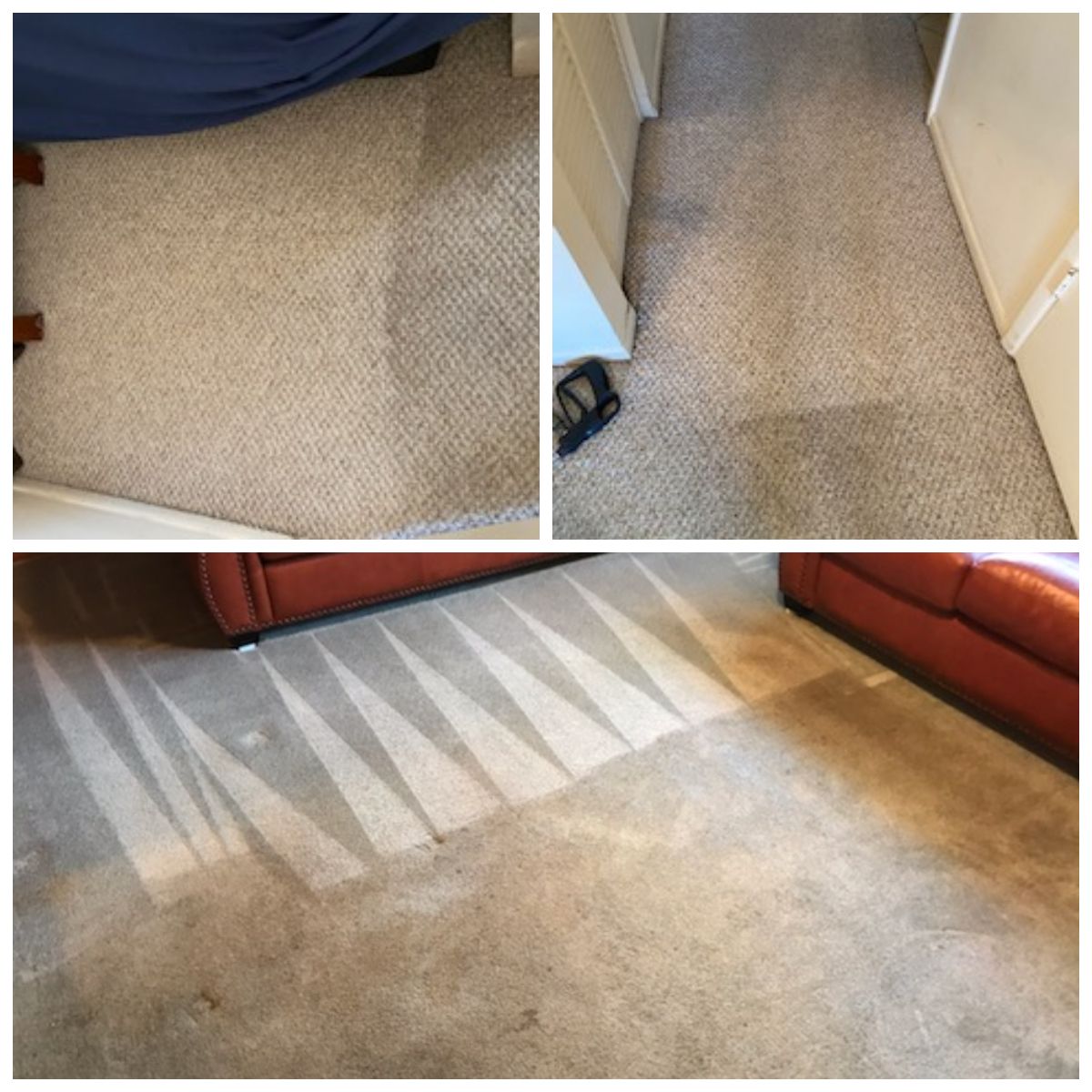 Carpet Stain Removal Services in Largo, Florida