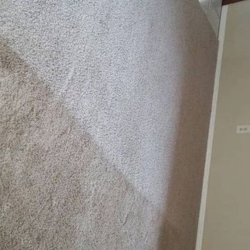 Carpet Cleaning