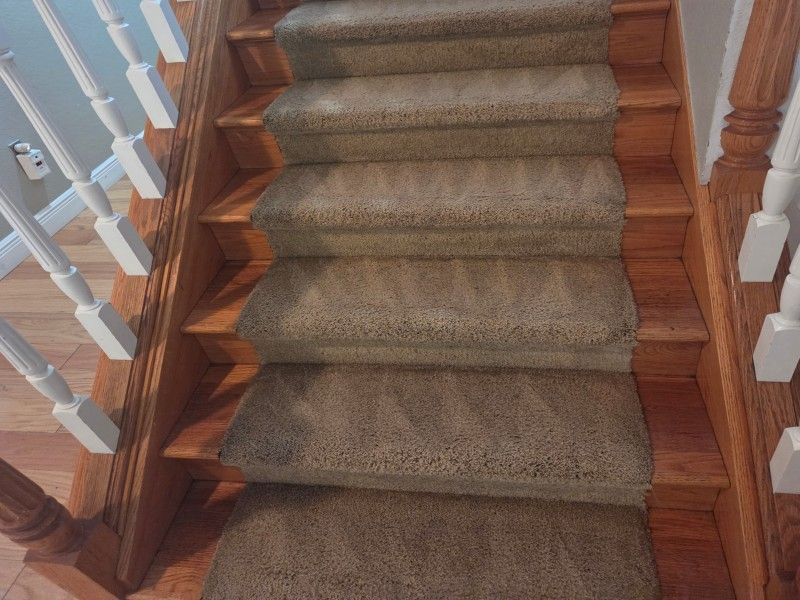 Mid-process carpet cleaning results
