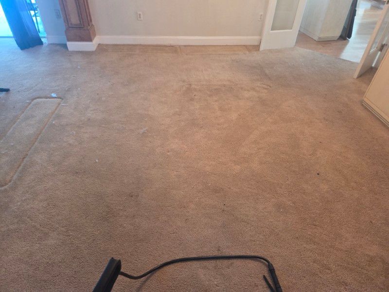 Dirty carpet before cleaning in Tarpon Springs home